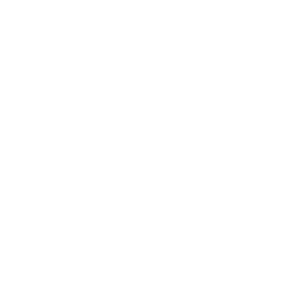 Misión